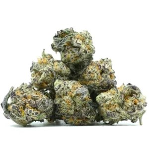 Buy Candy Latte Popcorn Cannabis in the Netherlands – Exotic Hybrid with Bulk & Mail Order Delivery Across the UK, Belgium, Finland, Spain, France & Greece