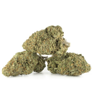 Buy Jack Herer Cannabis in the Netherlands – Premium Sativa-Dominant Strain with Fast Delivery Across Europe & the UK