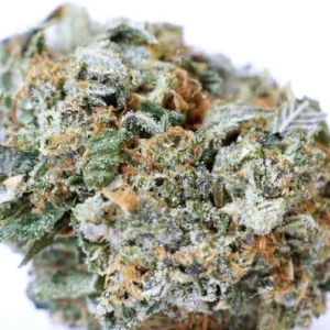 Buy Bubba Kush (AAAA) – Premium Indica Strain with Fast Delivery Across Europe & the UK