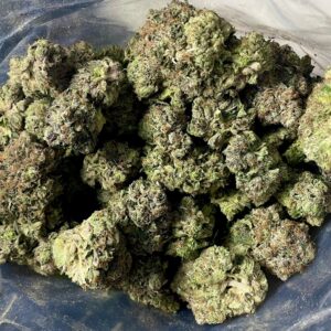 Buy Gangster OG Weed Online – High-THC Indica Strain with Fast Delivery Across Europe & the UK