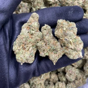 Buy Bulk Weed UK – Premium Cannabis for Wholesale Deals