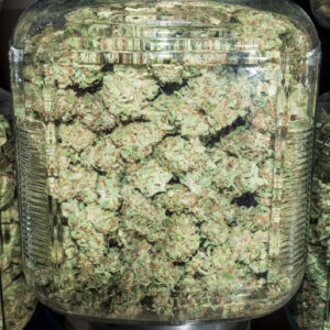 Buy Gelato n Cream Cannabis – Premium Bulk Weed Deals in the UK & Europe